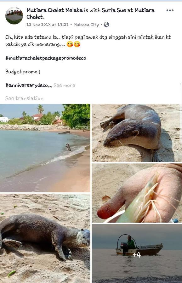 Mutiara Chalet Malacca Eksteriør billede